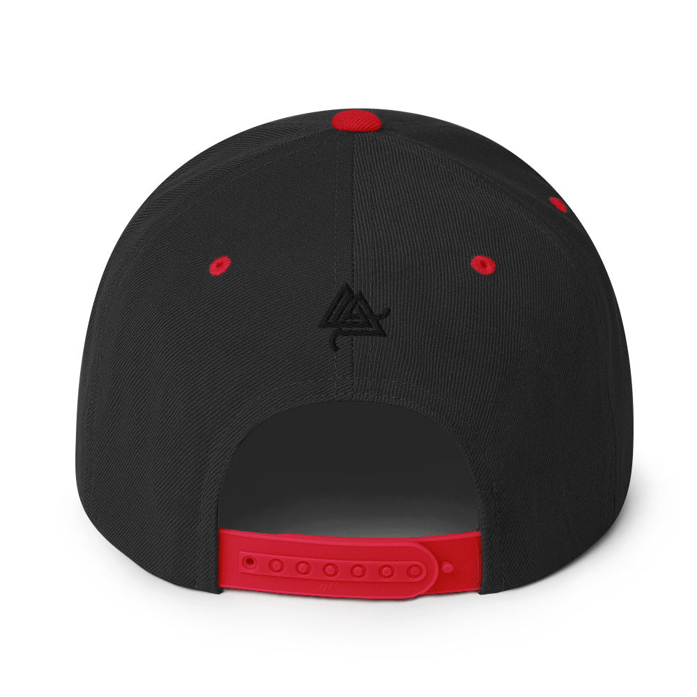 Anomolus 6-Panel Snapback Hat