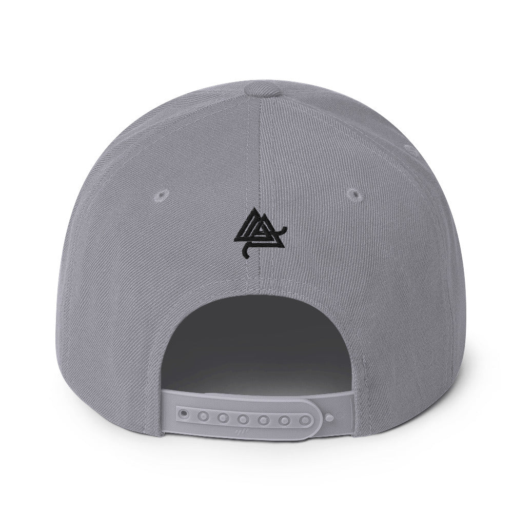 Anomolus 6-Panel Snapback Hat